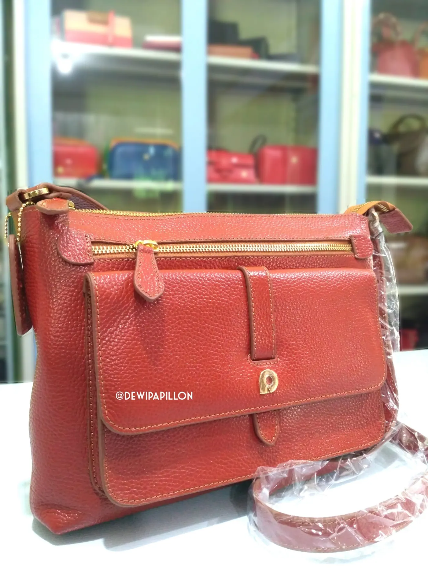 Tas Papillon Model terbaru 2020